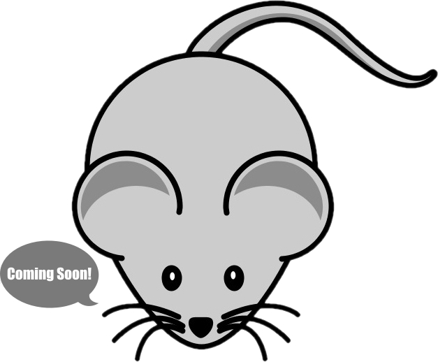 mouse-1.jpg